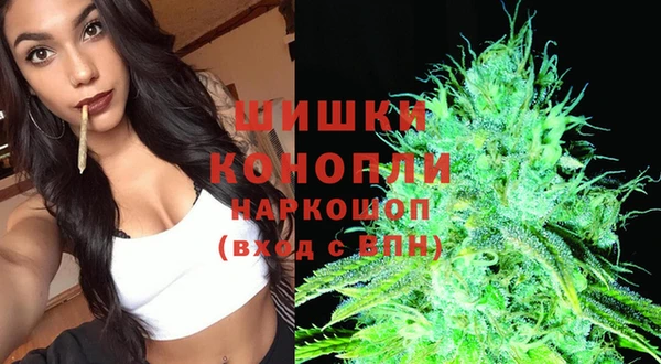 мяу мяу мука Богданович