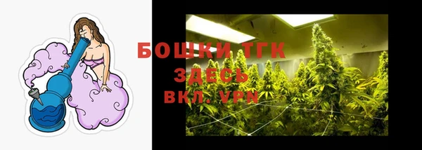 дурь Богородицк