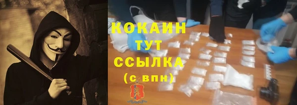 стаф Богородск