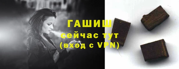стаф Богородск