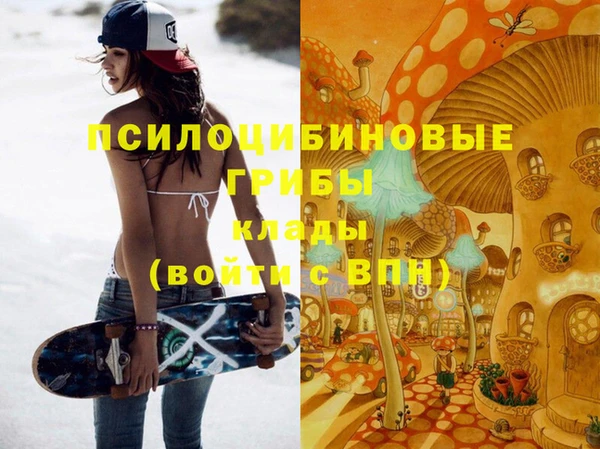 дурь Богородицк