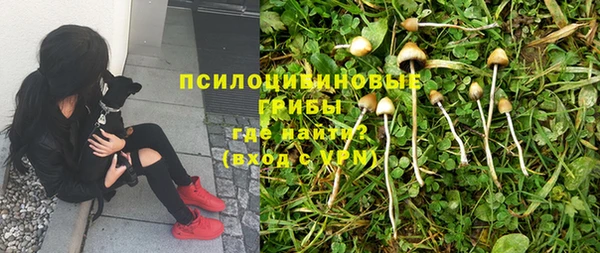 мяу мяу мука Богданович